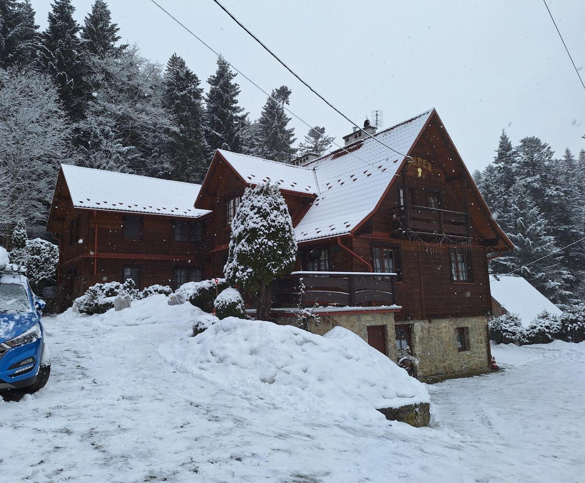 Dom Goscinny Dudek Krynica Zdroj Bagian luar foto