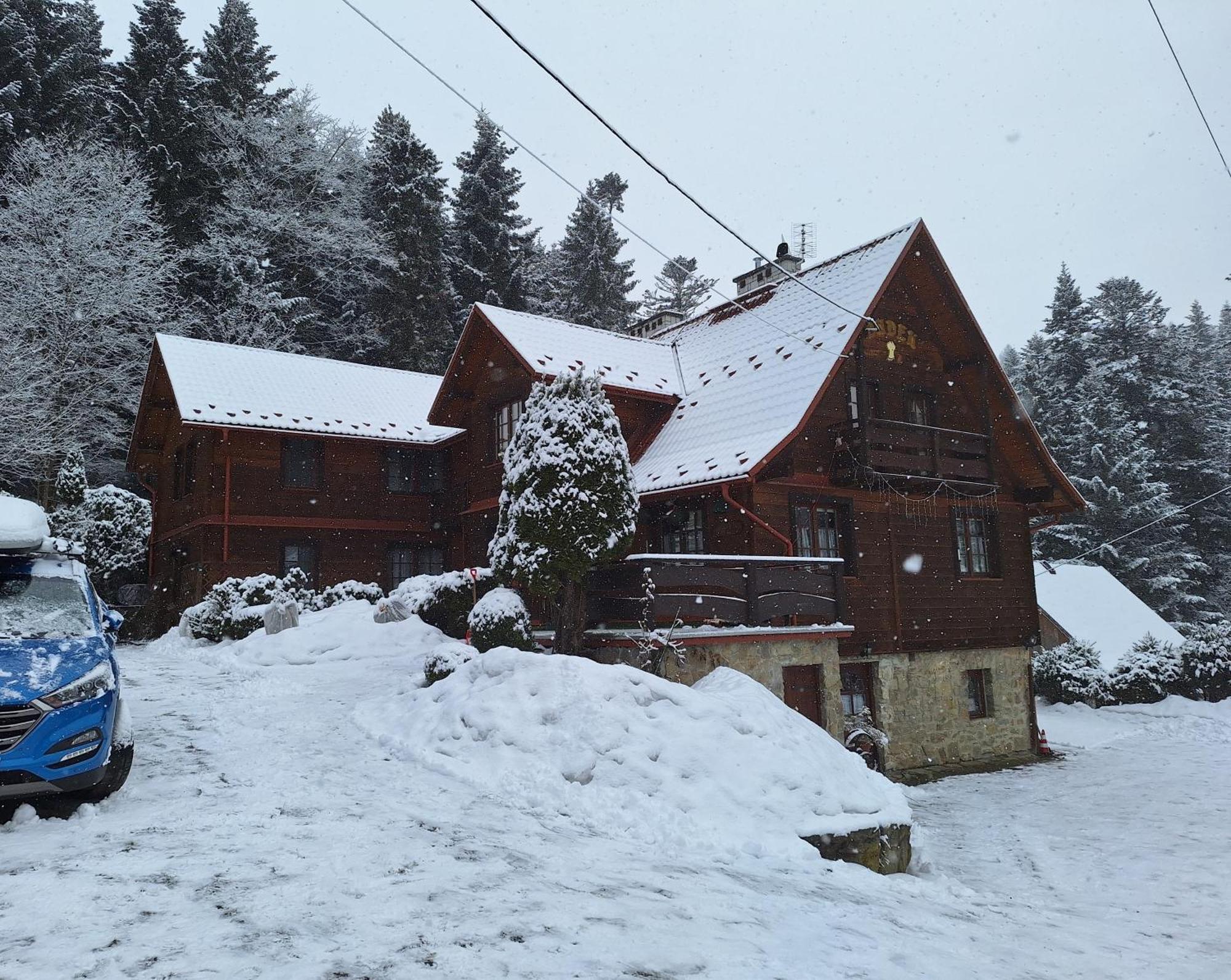 Dom Goscinny Dudek Krynica Zdroj Bagian luar foto