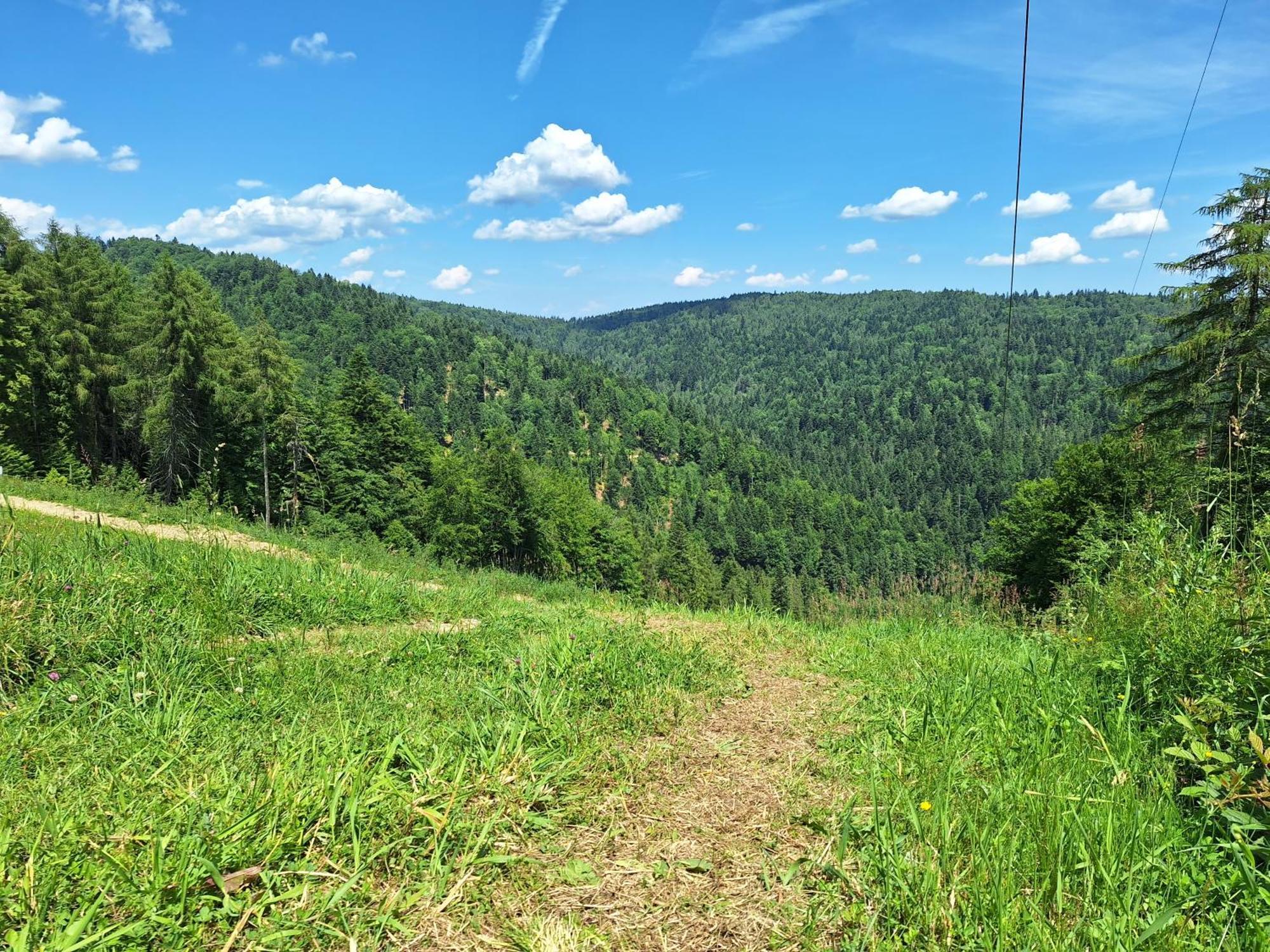 Dom Goscinny Dudek Krynica Zdroj Bagian luar foto